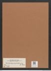 Surirella anfractuosa A. Schm. (de-Toni-Nr.: Genus 53, Species 2396) Zeichnungen Sammlung Grunow Mappe 02551 (Herbarium_W_Grunow_drawings_Folder_02551)
